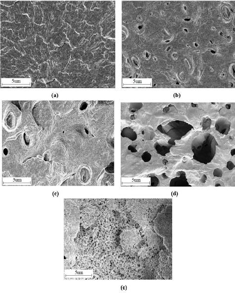 Click here to view Large image 6