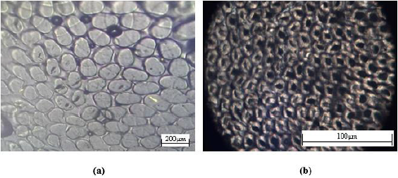 Click here to view Large image 9