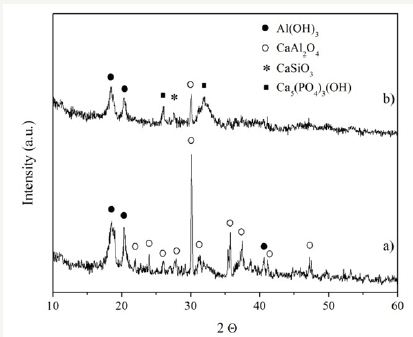 Click here to view Large Figure 2