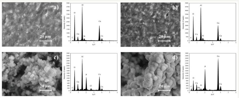 Click here to view Large Figure 3