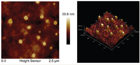Click here to view Large Figure 11