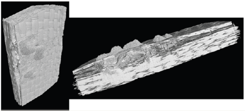 Click here to view Large Figure 9