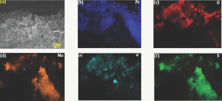 Click here to view Large Figure 3