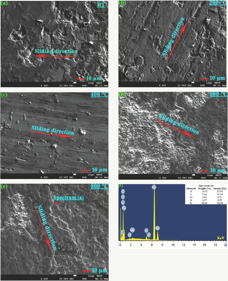 Click here to view Large Figure 6