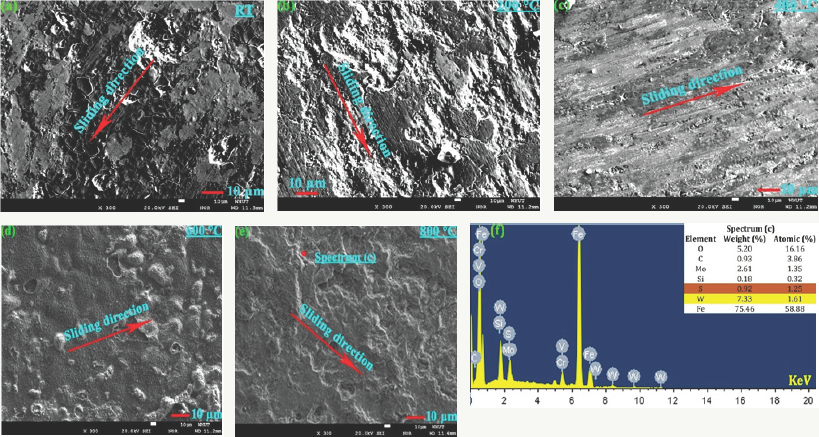 Click here to view Large Figure 7