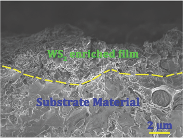 Click here to view Large Figure 8