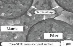 Click here to view Large Figure 1