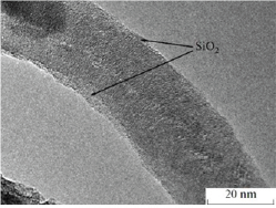 Click here to view Large Figure 2