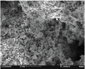 Click here to view Large Figure 4