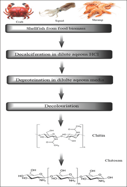 Click here to view Large Figure 3