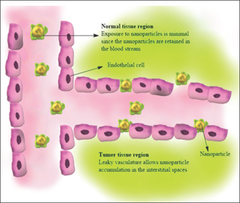 Click here to view Large Figure 5 width=