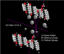 Click here to view Large Figure 5