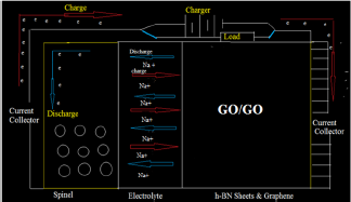 Click here to view Large Figure 5