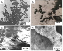 Click here to view Large Figure 12