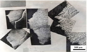 Click here to view Large Figure 2