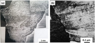 Click here to view Large Figure 3