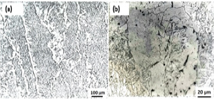 Click here to view Large Figure 5