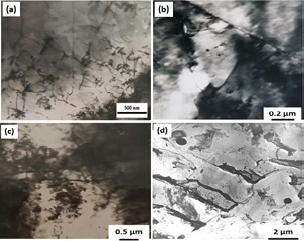 Click here to view Large Figure 6