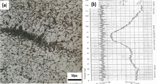 Click here to view Large Figure 8