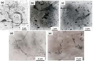 Click here to view Large Figure 9