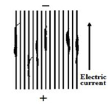 Click here to view Large Figure 1