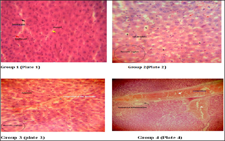Click here to view Large Figure 3