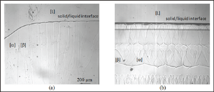 Click here to view Large Figure 1