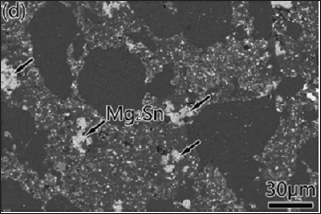 Click here to view Large Figure 2