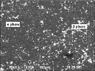 Click here to view Large Figure 3