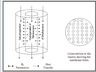 Click here to view Large Figure 1