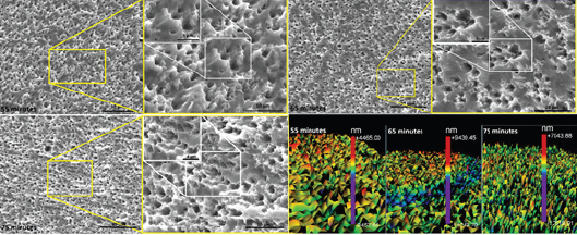 Click here to view Large Figure 1