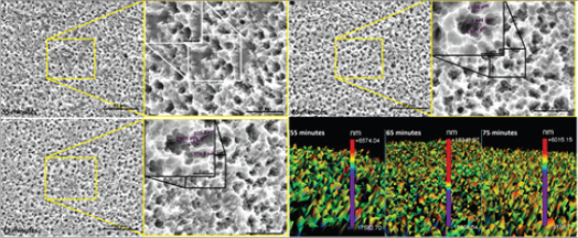 Click here to view Large Figure 2