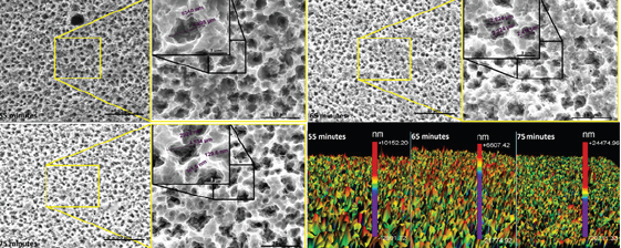 Click here to view Large Figure 3
