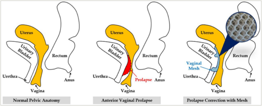 Click here to view Large image 1