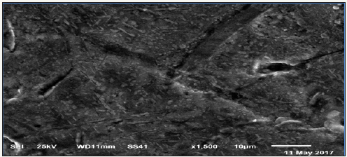 Click here to view Large image 6