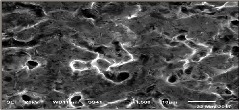 Click here to view Large image 7