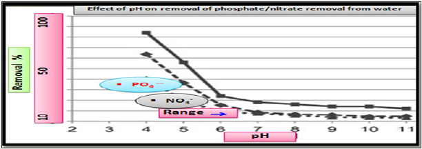 Click here to view Large image 8