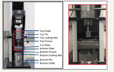 Click here to view Large image 5
