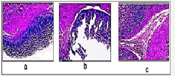 Click here to view Large image 4