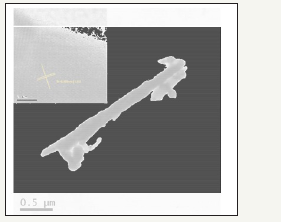 Click here to view Large image 5