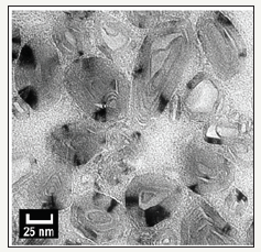 Click here to view Large image 4