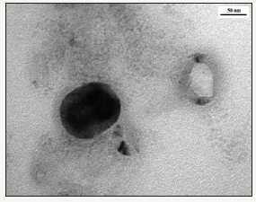 Click here to view Large image 5