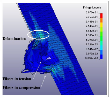 Click here to view Large image 11