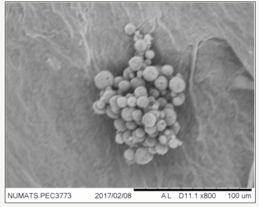 Click here to view Large image 3