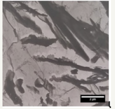 Click here to view Large image 4