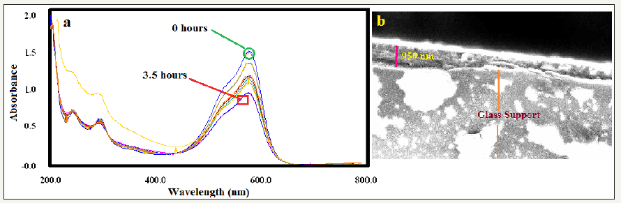 Click here to view Large image 6