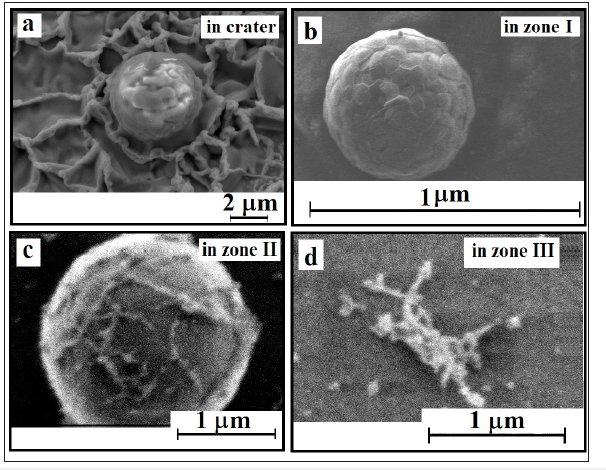 Click here to view Large image 6