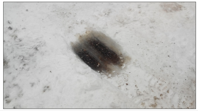 Click here to view Large image 4