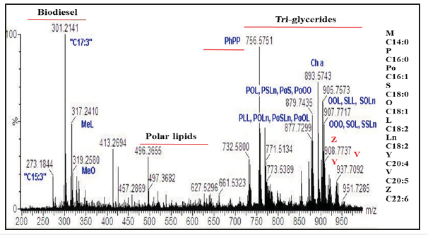 Click here to view Large image 3