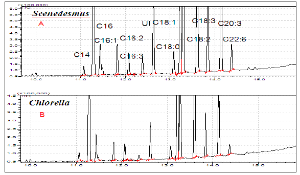 Click here to view Large image 4